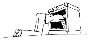 Missing Image: Person With Head Inside Oven (turning on the gas)